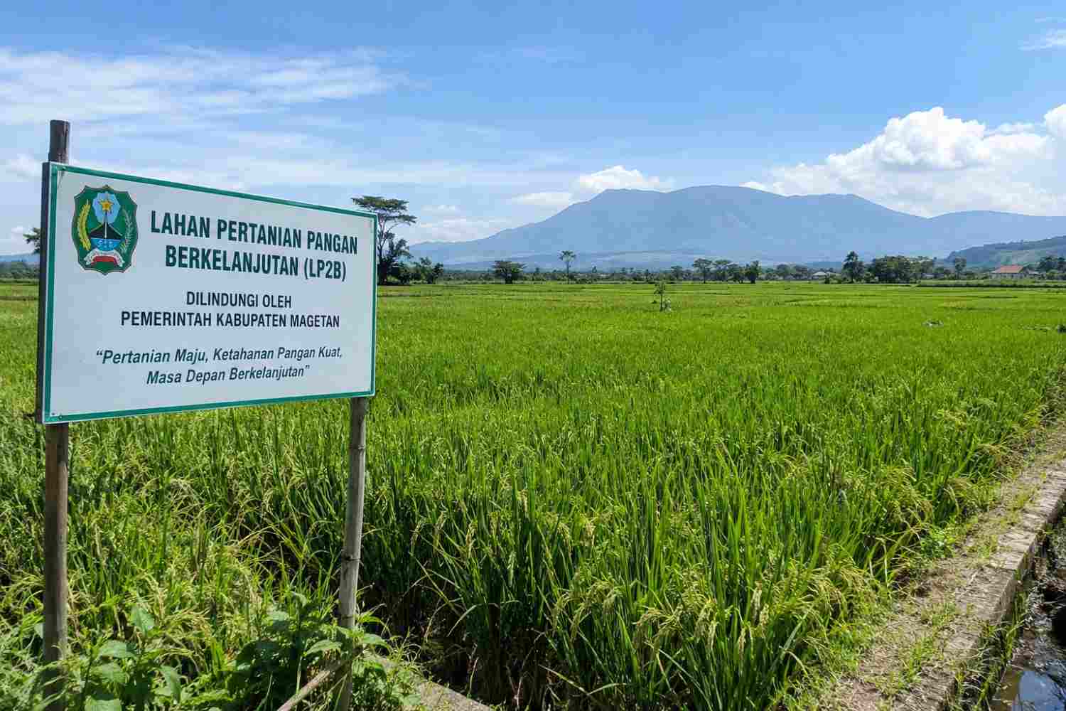 Magetan Usulkan 23.016 Hektare Lahan Pertanian Dilindungi, Investasi Bisa Manfaatkan Selisih
